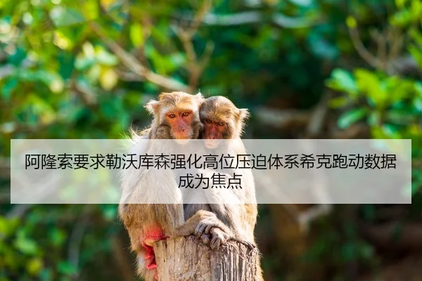 阿隆索要求勒沃库森强化高位压迫体系希克跑动数据成为焦点